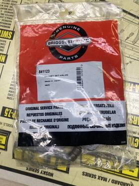 843713 Briggs & Stratton 841123 And Gasket Kit Oem Pt.#841123