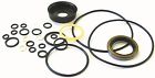 E46-e47-e57 Snp6160 National Liftgate Meyer Snowplow Basic Repair Seal Kit For