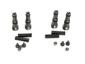 49138k-3 Western Relief Valve Kit Lot Of 2 Nos