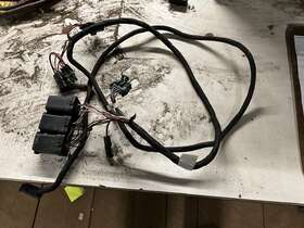 69793-1 Western Fisher - 11 Pin Light Wiring Harness
