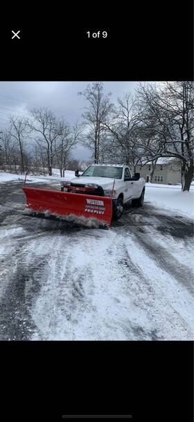 76974 Western 8 6 Pro Plus Plow