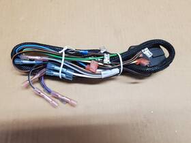 W49318 Western Fisher 49318 49319 Unimount Relay Style 12 Pin Plow Side Repair Harness