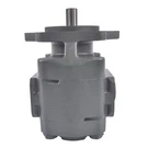 Hydraulic Pump Replaces PK1-17-02BPBB S-10194 Gpm 13 Spline Shaft Npt Thread. Fixed Price $375.00.