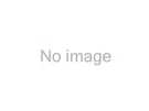 Meyer Products 22800 Controller. Fixed Price $323.30.