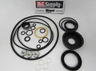 Meyer Snow Plow Pump E50 V66 E60-H E61-H Basic Seal Kit W/ Nuts 15707. Fixed Price $23.95.