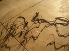 Western Uni-mount/fisher Minute Headlight Harness 88-98 Chevy/gmc Unimount 62906. Fixed Price $125.00.