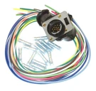 Hiniker Snow Plow P/n 38813106 Repair Pigtail, Function,grill Side Amp Cpc,oem. Fixed Price $98.67.