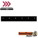 Buyers Products 16120920, Snowdogg Replacement XP810 Cutting Edge. Fixed Price $290.95.
