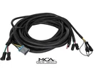 Oem Buyers Saltdogg Main Wire Harness W/ Separate Spinner Connector 3030628. Fixed Price $443.99.