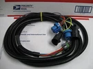 Western Fisher Plow 4 Port Long Headlight Harness 26370- Dodge Quad HB-1 & HB-5. Fixed Price $169.95.